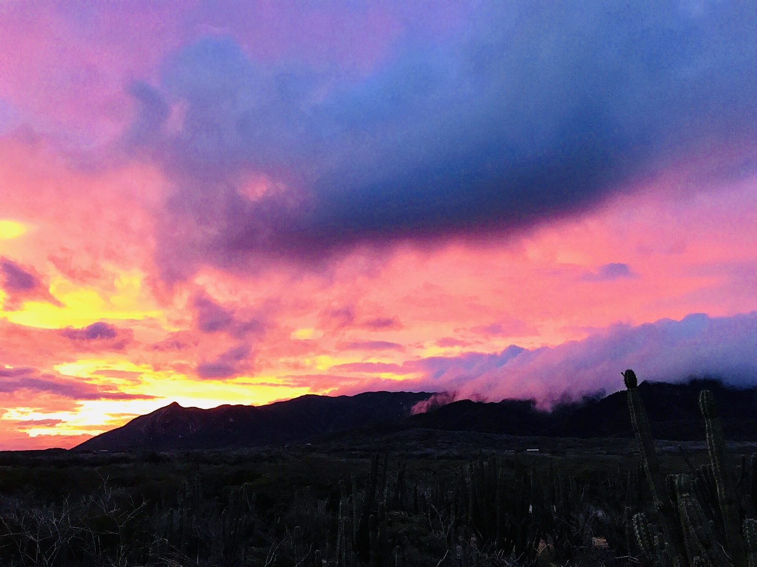 Atardecer rosado sobre las montañas y cardones de Ichipá